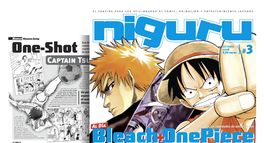 Revista Niguru
